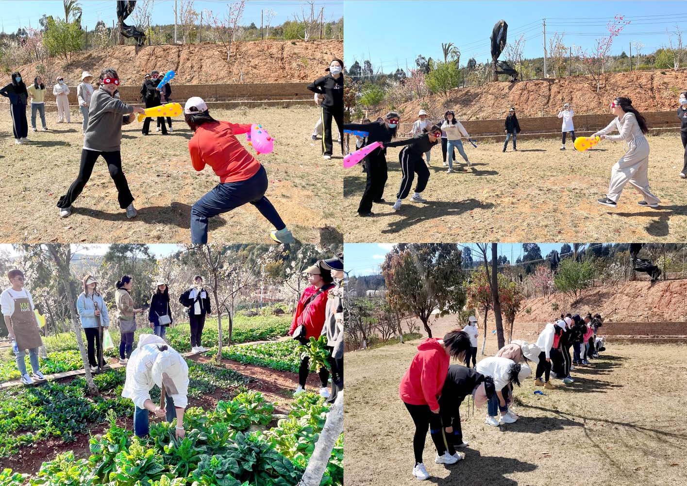 37944142b7237e7f79550f4ffaf7adb 37944142b7237e7f79550f4ffaf7adb